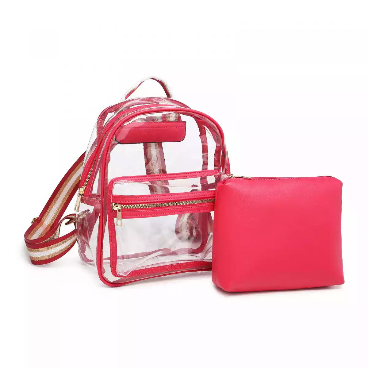 Cartera transparente para dama